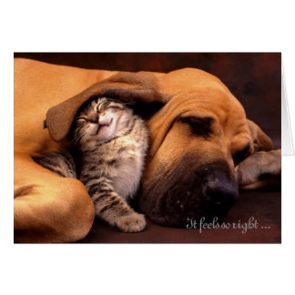 It feels so right being with you