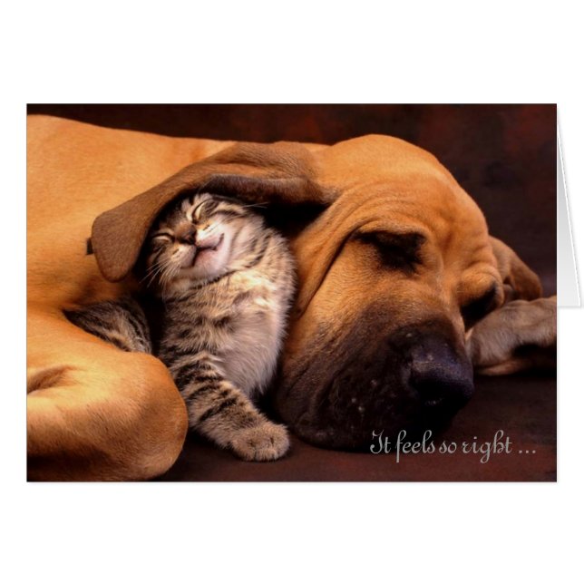 It feels so right being with you (Front Horizontal)