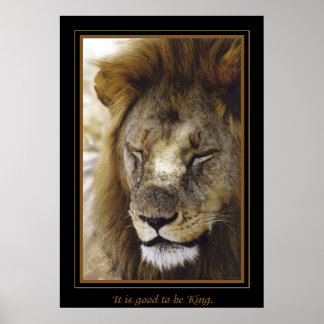 "It is good to be King." Poster