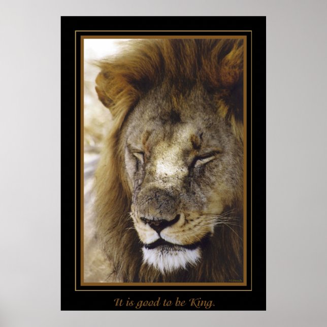 "It is good to be King." Poster (Front)