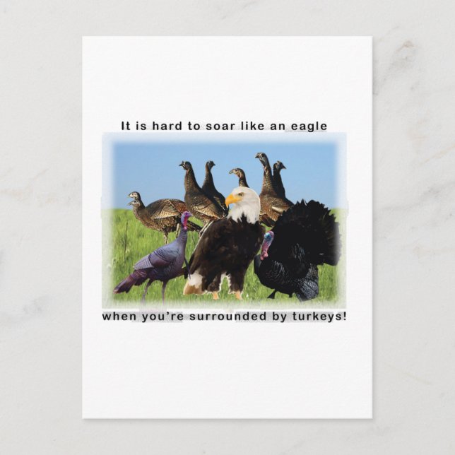 It is hard to soar like an eagle quotation postcard (Front)