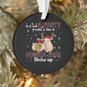 It Is Not A Party Until A Few Guinea Pig Show Up Ornament