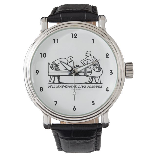 It Is Now Time To Live Forever Egyptian Embalming Watch (Front)
