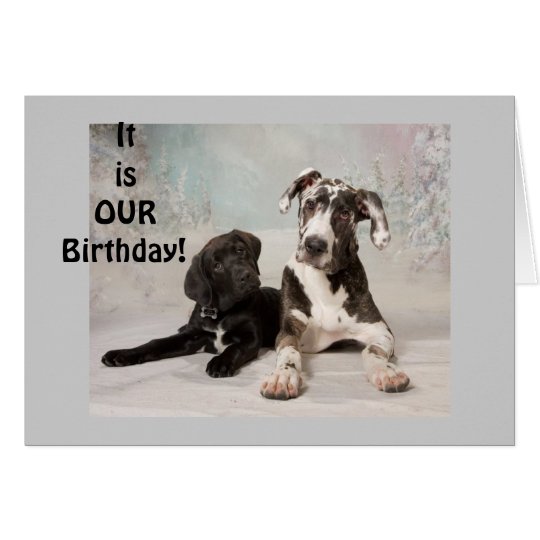 IT IS "OUR" BIRTHDAY-GREAT DAY! CARD