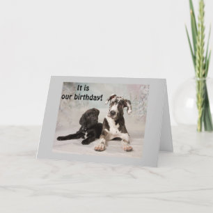 IT IS "OUR" BIRTHDAY-GREAT DAY! CARD