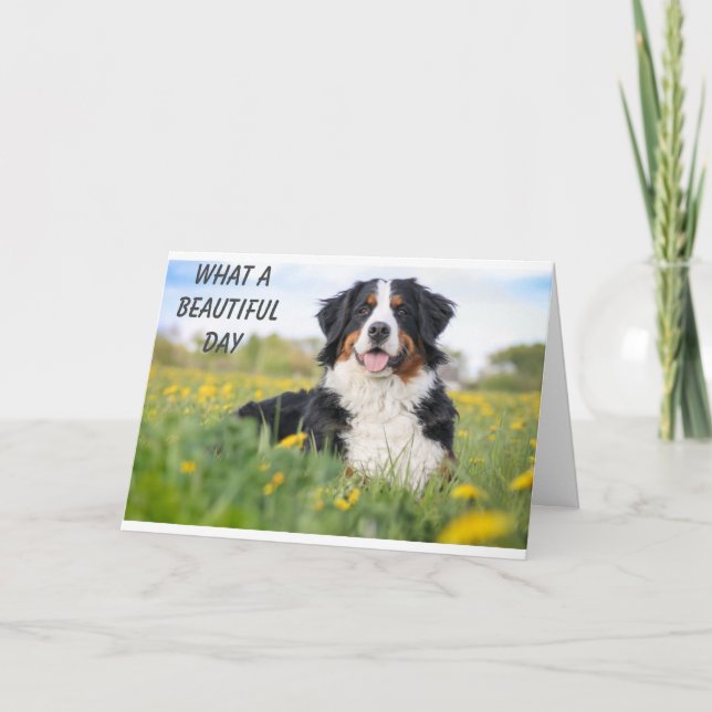 **IT IS OUR VETERINARIAN'S BIRTHDAY** CARD (Front)