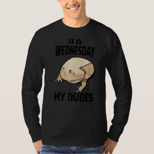 It Is Wednesday My Dudes T-Shirt