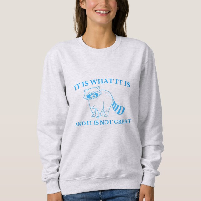 It Is What It Is And It Is Not Great Drawing Sweatshirt (Front)