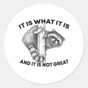 It Is What It Is And It Is Not Great Racoon Classic Round Sticker