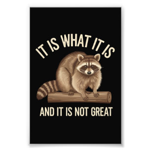 It Is What It Is and It Is Not Great Racoon Xmas Photo Print