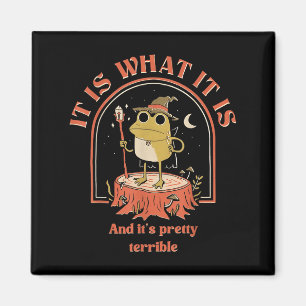 It Is What It Is And Its Pretty Terrible Frog Meme Magnet
