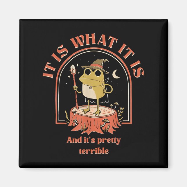 It Is What It Is And Its Pretty Terrible Frog Meme Magnet (Front)
