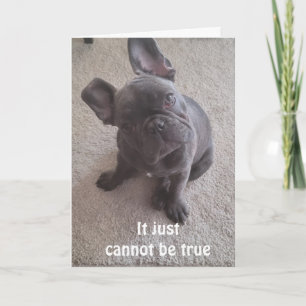 *IT JUST CANNOT BE TRUE** 16th BIRTHDAY CARD