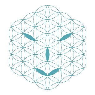 it Logo 01, Cyan/Red Trucker Hat