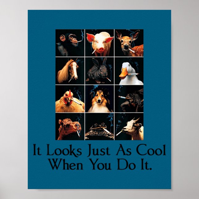 It looks just cool when you do it funny animals sm poster (Front)