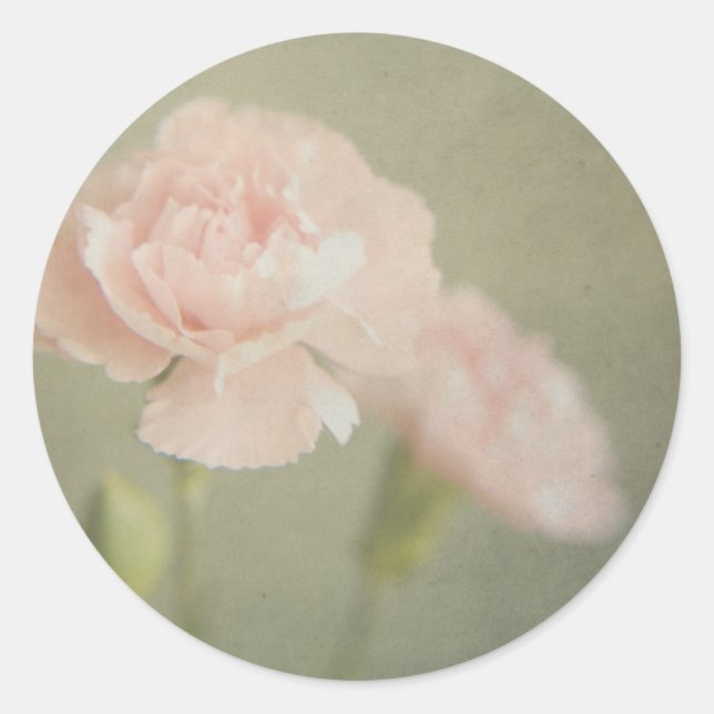 it looks like hope sricker classic round sticker (Front)