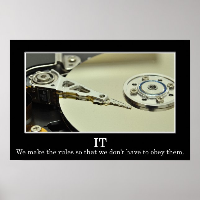 IT makes rules so it can ignore them (L) Poster (Front)