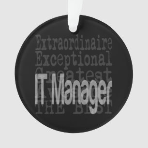 IT Manager Extraordinaire Ornament