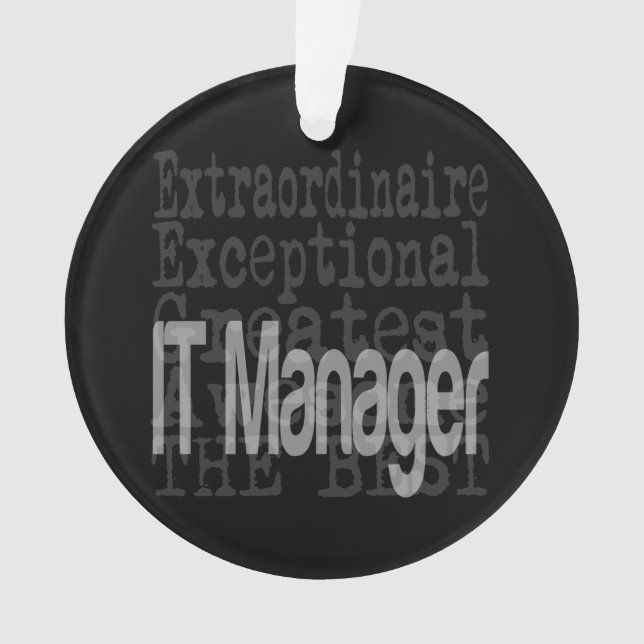 IT Manager Extraordinaire Ornament (Front)