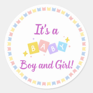 It’s a Baby Boy and Girl Twins  Classic Round Sticker