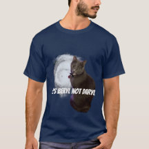 It’s Beryl Not Daryl Shirt