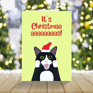 It’s Christmas funny tuxedo cat cartoon  Holiday Card