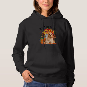 It S Fall Y All Cocker Spaniel Pumpkin Fall Autumn Hoodie