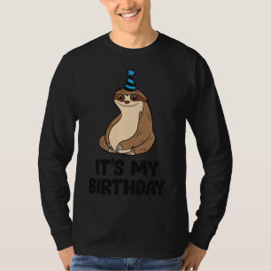 It S My Birthday Cute Sloth Birthday Party Love Sl T-Shirt