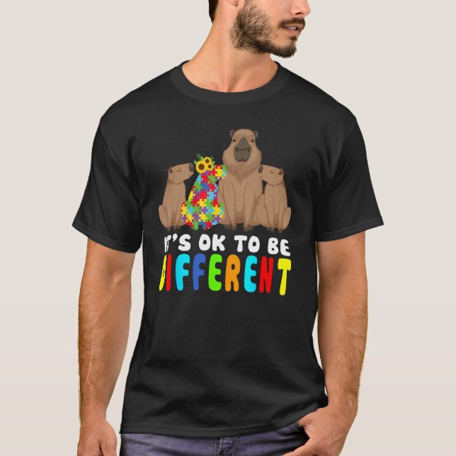 It s Ok To Be Different Capybara Autism Awareness T-Shirt (Front)