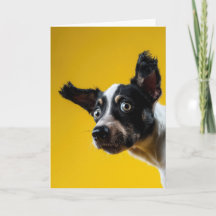 "It’s The Dog" Birthday