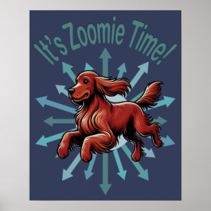 It’s Zoomie Time Irish Setter Poster