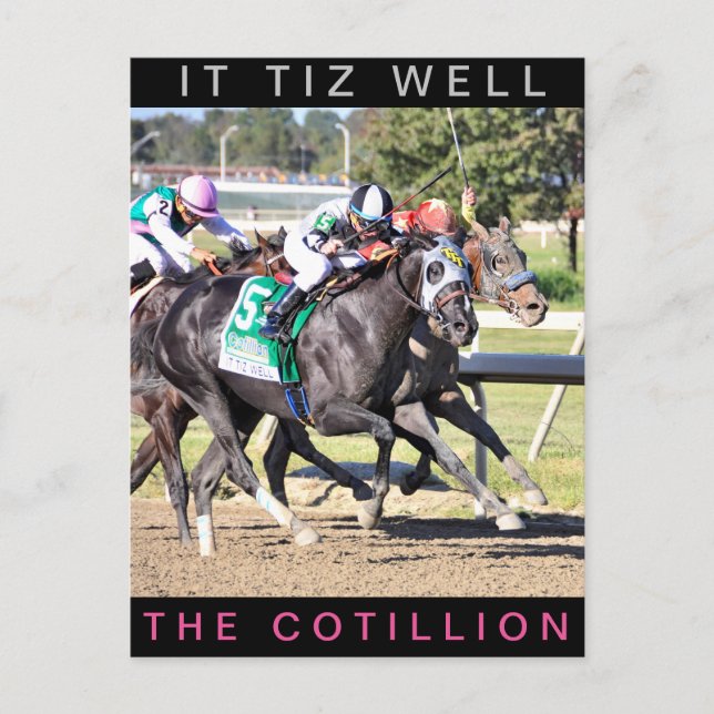 It Tiz Well - The Cotillion Winner Postcard (Front)