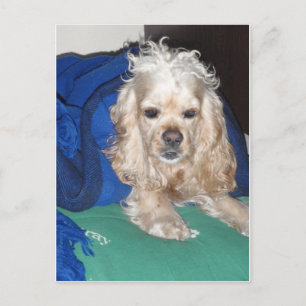 It was a hard night postcard