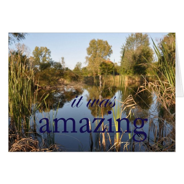 It was Amazing (Front Horizontal)