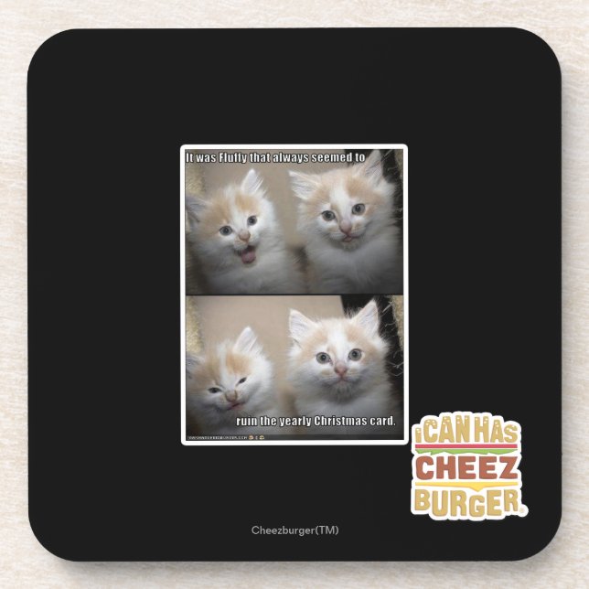 It was Fluffy Coaster (Front)