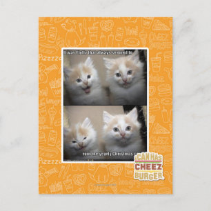 It was Fluffy Postcard