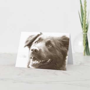 It was great seeing you! thank you card