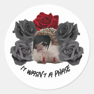 It Wasn't a Phase Emo Hedgehog Classic Round Sticker