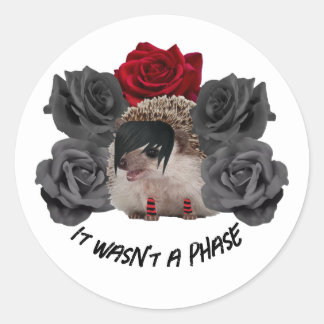 It Wasn't a Phase Emo Hedgehog Classic Round Sticker