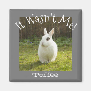 It Wasn't Me! Custom Pet Photo Dog Bunny Cat Child Magnet