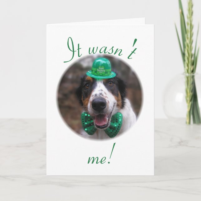 "It wasn't me!" Holiday Card (Front)