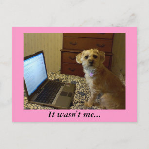 It wasn't me... Postcard