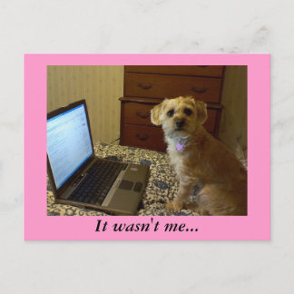 It wasn't me... Postcard
