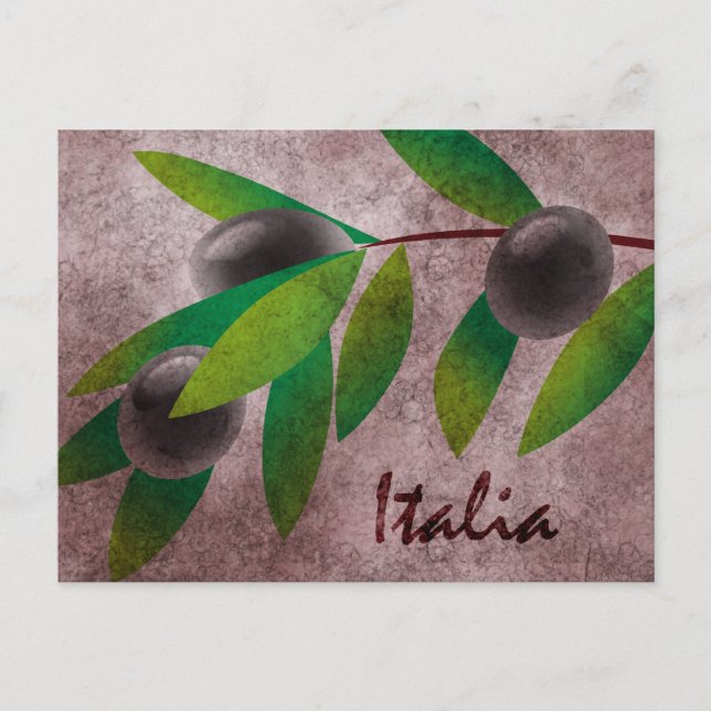 Italia Olives Postcard (Front)