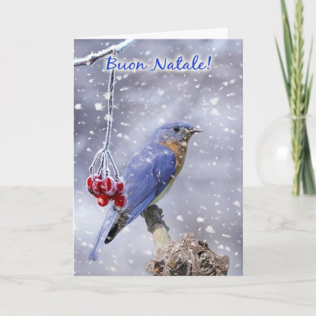 Italian - Blue Bird Christmas Greeting Card (Front)