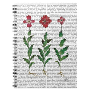 Italian Carnation 1 Notebook