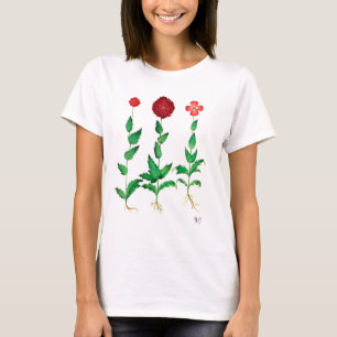 Italian Carnation 2 T-Shirt