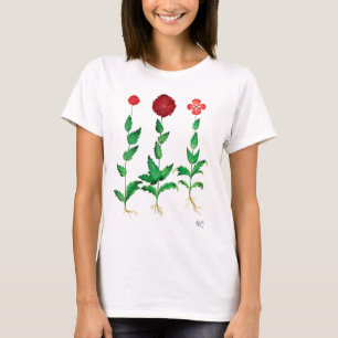 Italian Carnation 2 T-Shirt