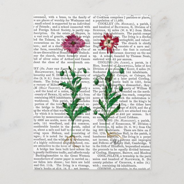 Italian Carnation 3 Postcard (Front)