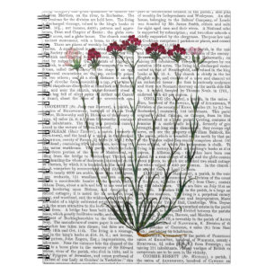 Italian Carnation 4 Notebook